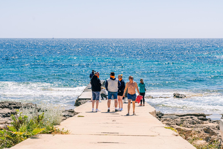 From East Mallorca: Guided Beach and Mountain Buggy Tour