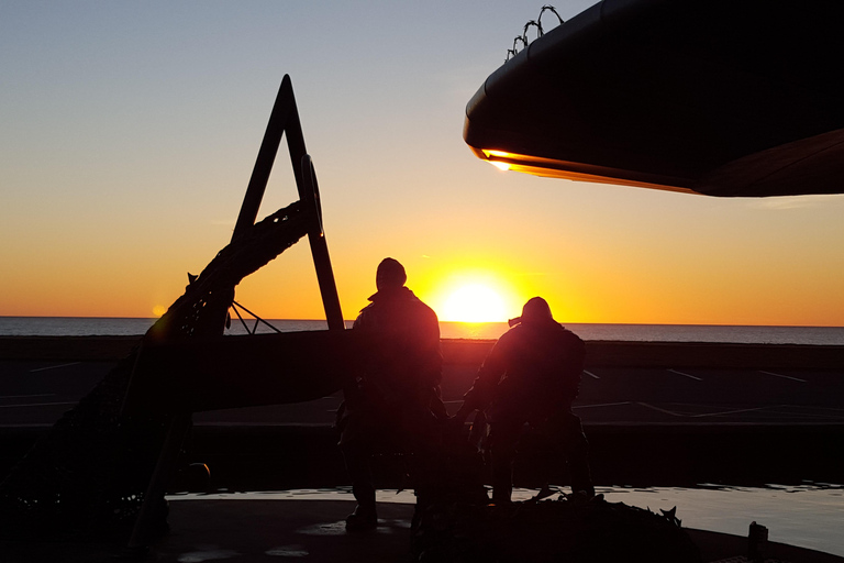 Napier: Highlights & Tour Exploring the Best of this Region