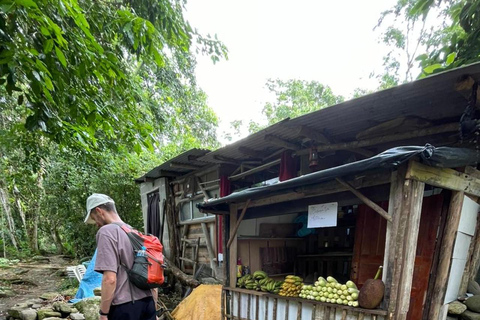 Paraty: Melancia Waterfall Trail Guided Hike with Pickup