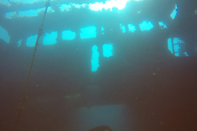 Hammamet: Guided Diving Experience with Hotel Transfer
