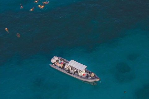 Waikiki : Visite en petit groupe du Turtle Canyon avec masque et tuba