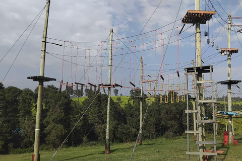 Limuru: E-Bike Ride Through Tea Plantations Limuru: Tea Farms E-Bike riding & sky cycling