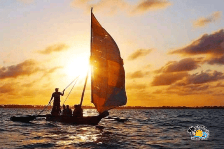 Zanzibar: Mnemba Dolphins Tour and Sunset Dhow Cruise Hotel Transfers within Nungwi and Kendwa