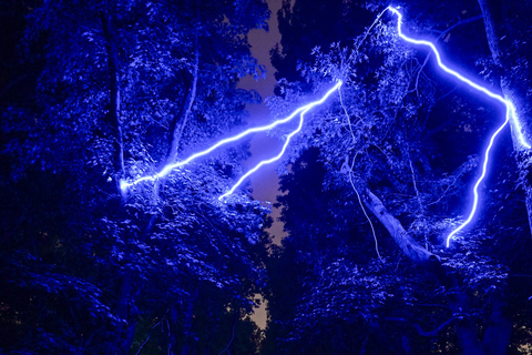 Porto: Serralves Em Luz Immersive Light Show Entry Ticket