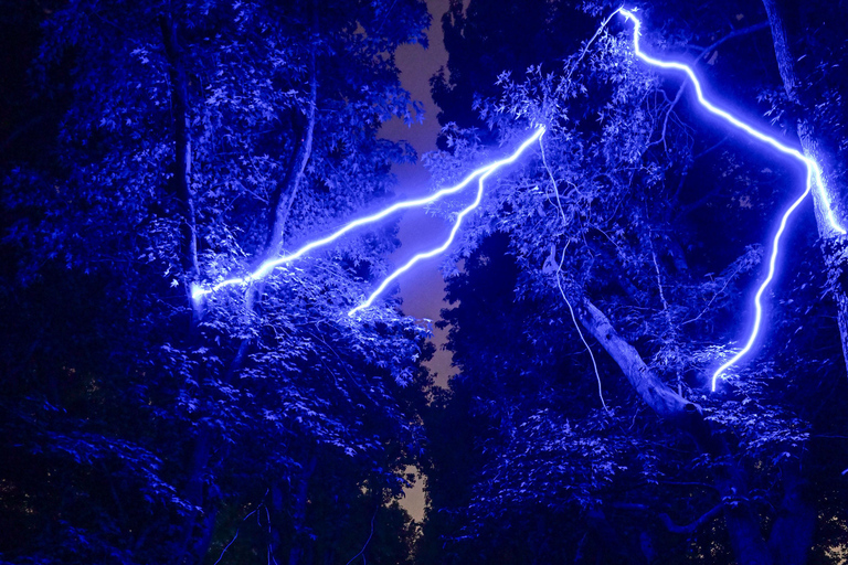 Porto: Serralves Em Luz Immersive Light Show Entry Ticket