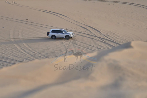 Doha: Full Day Desert Safari, BBQ Dinner, and Stargazing
