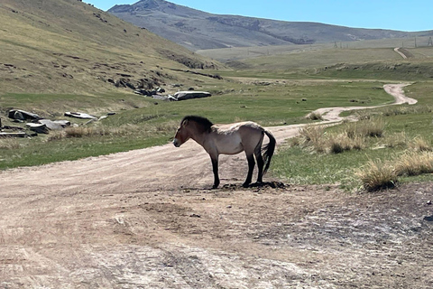 2 days Central travelling mongolia