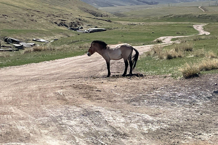 2 days Central travelling mongolia