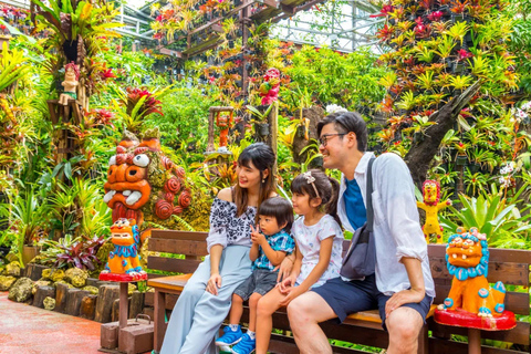 Nago Pineapple Park : Admission with Pineapple Car