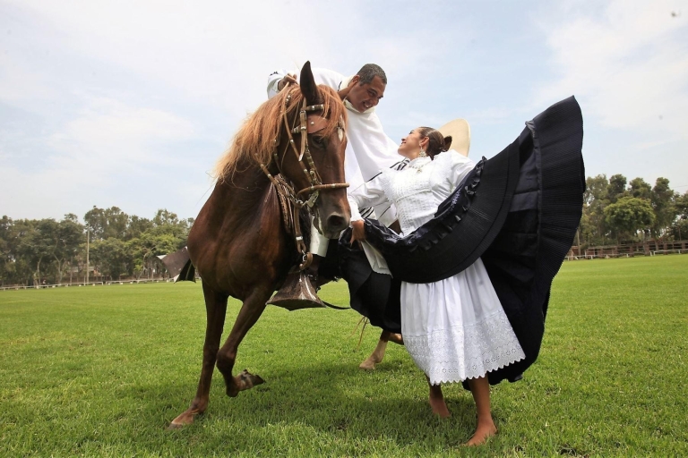 Z Trujillo | Pokaz Marinera z peruwiańskimi końmi paso
