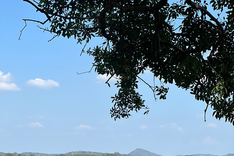 Sigiriya: Kaudulla or Minneriya National Park Safari