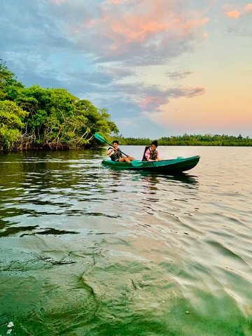 Mirissa: kajaksafari-avontuur door mangrove