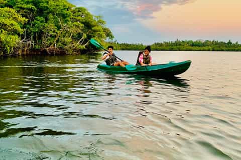 Mirissa : safari en kayak à travers la mangrove