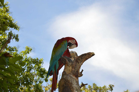 From Medellín: Guatapé and San Rafael 2-Day Adventure