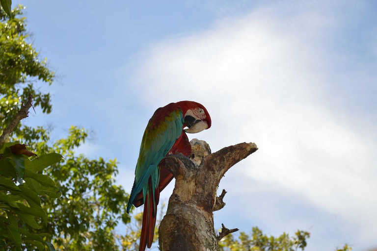 From Medellín: Guatapé and San Rafael 2-Day Adventure
