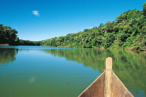 Manu National Park from Cusco