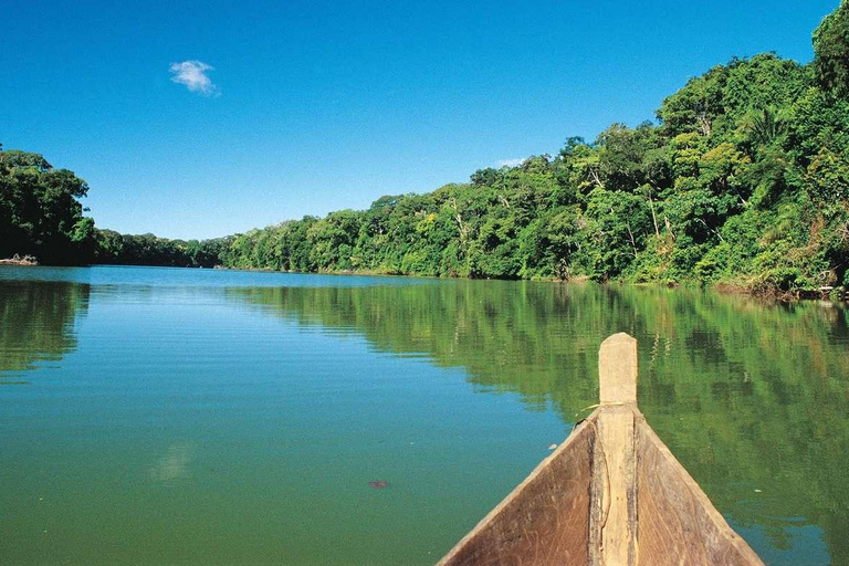 Manu National Park from Cusco