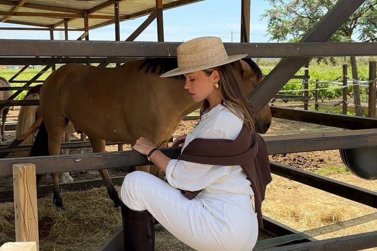 Sambia: Halbtägige Reitsafari + Mittagessen
