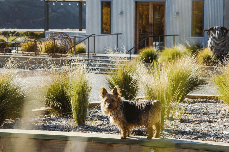 Tour in elicottero di Queenstown con degustazione di vini