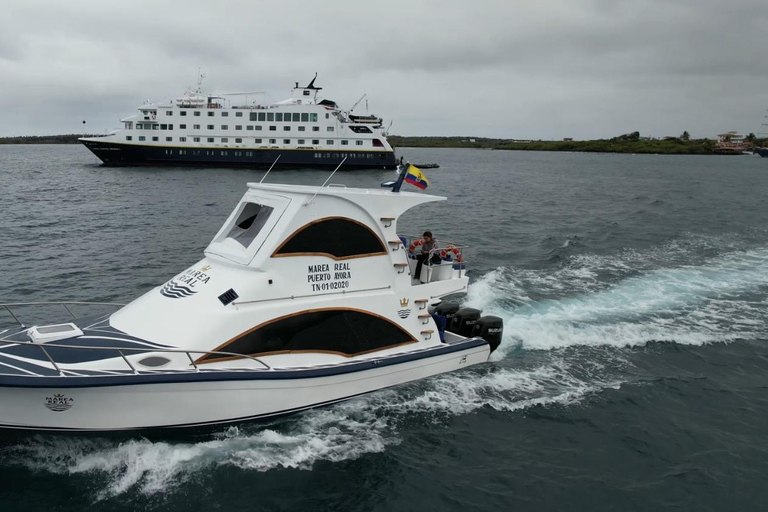 Transfer between Santa Cruz and San Cristóbal