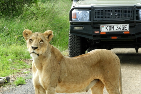 Route du parc national de Nairobi