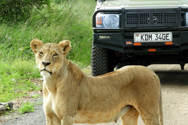 Fahrt zum Nairobi National Park