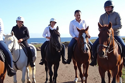 1-hour horseback ride in the south of Tenerife