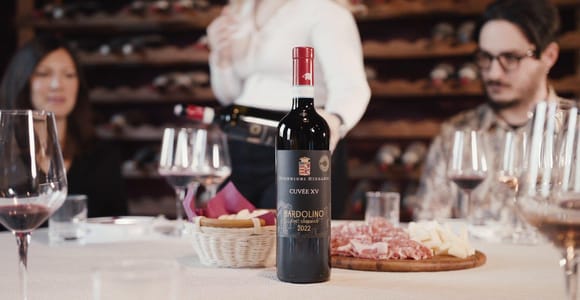 Lago di Garda: Verona Wine Experience at Bardolino Wineries