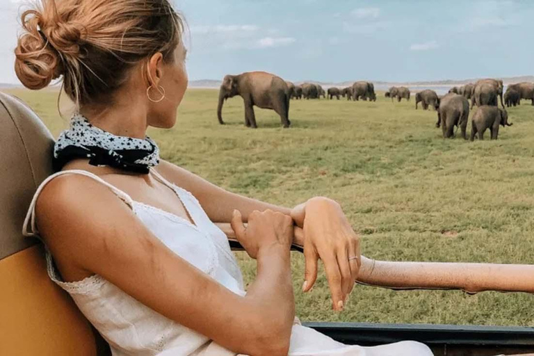 Kaudulla Discovery: Private Elephant Safari from Sigiriya