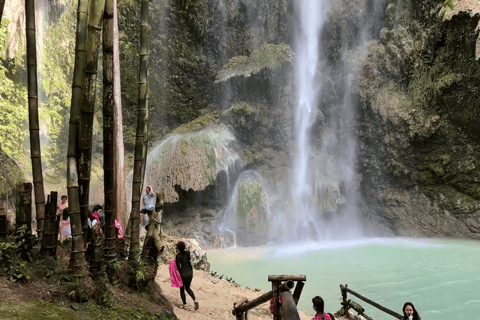Oslob: Whale Sharks, Tumalog Falls & Sumilon Trio Adventure