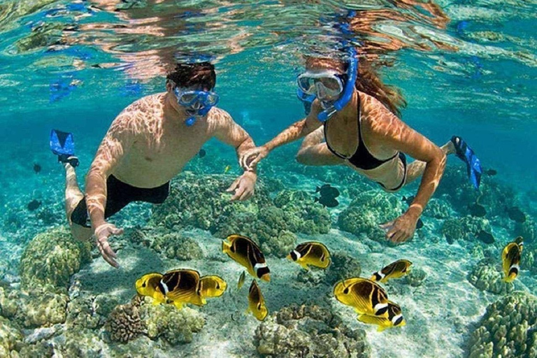 Cham eiland sightseeingtour en snorkeltourCham eiland sightseeing en snorkelen tour groep