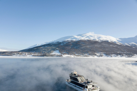 Tromsø: boottocht in fjord met hybride-elektrische catamaranTromsø: boottocht in fjord met elektrische catamaran