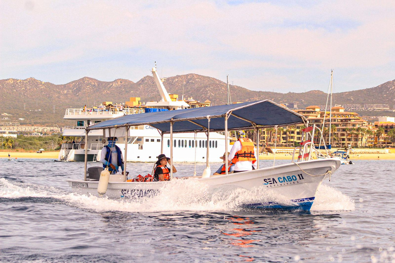 Cabo San Lucas: Tour al Arco en Barco Fondo de Cristal