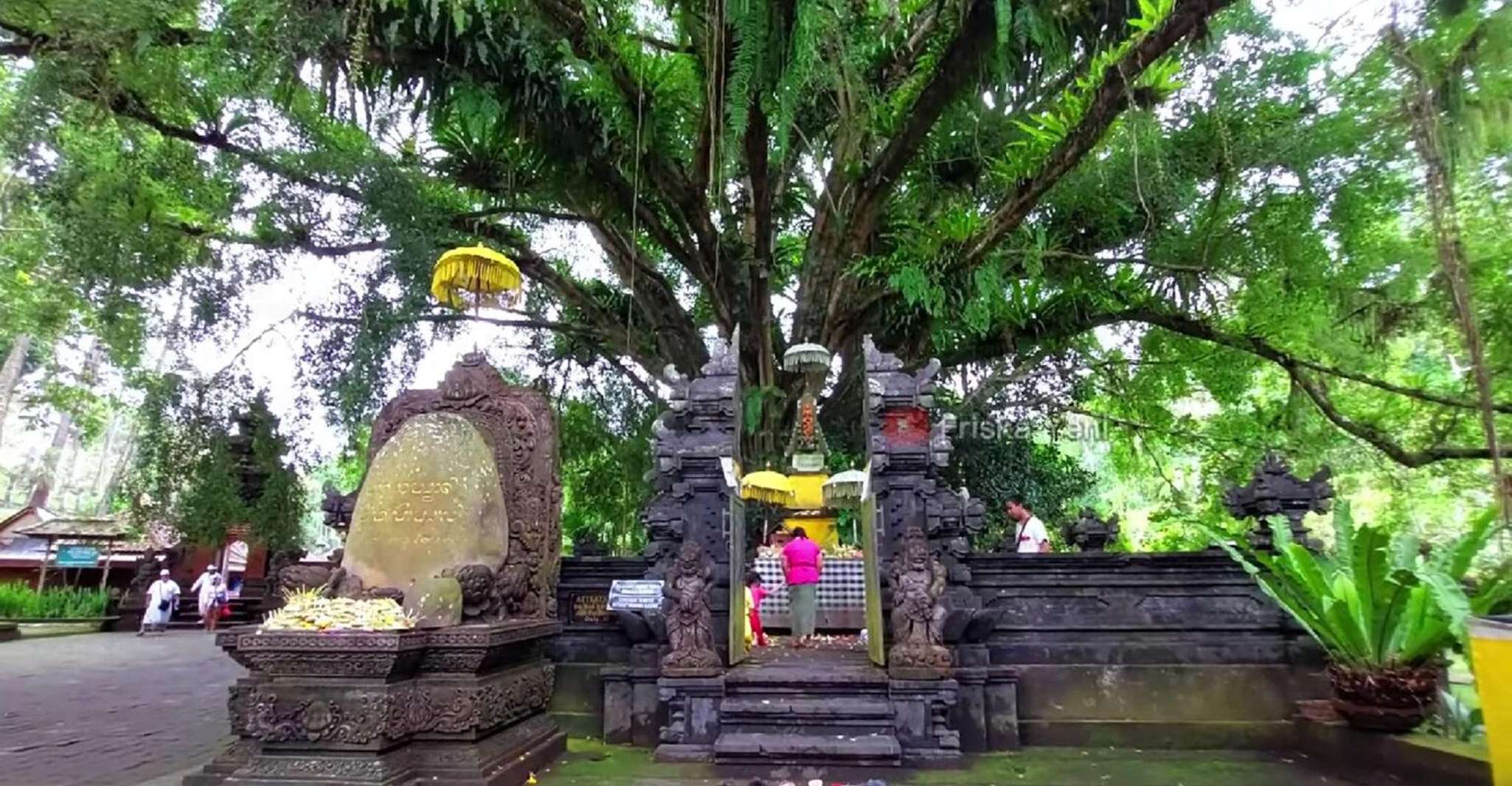 Bali, Forêt de Singe Ubud, Terrasses de Rice, Temple, Cascade - Hizvo