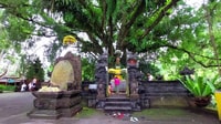 Bali, Ubud Affenwald, Reisterrassen, Tempel, Wasserfall - Hizvo