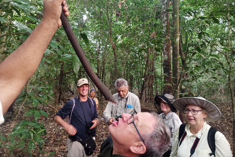 Iquitos: excursão de natureza e aventura na Amazónia Peru