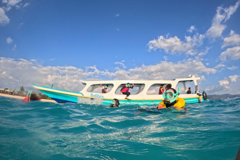 Gili Trawangan:Snorkeling Public Free Documentation