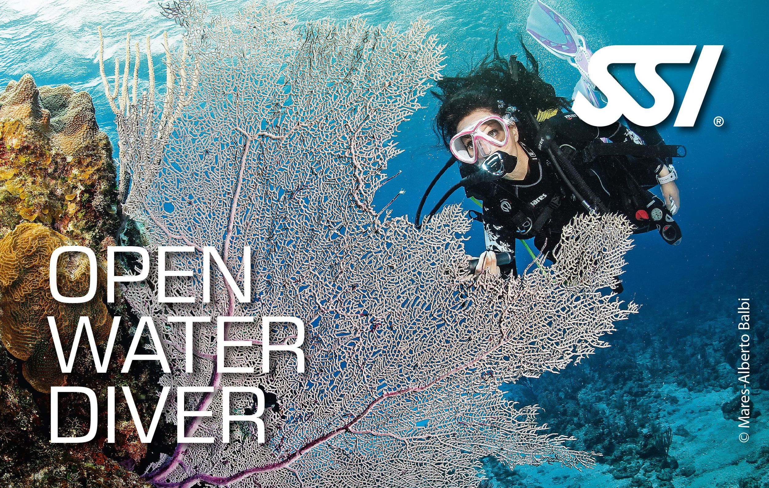 SSI Open Water Diver Tauchkurs auf Mallorca