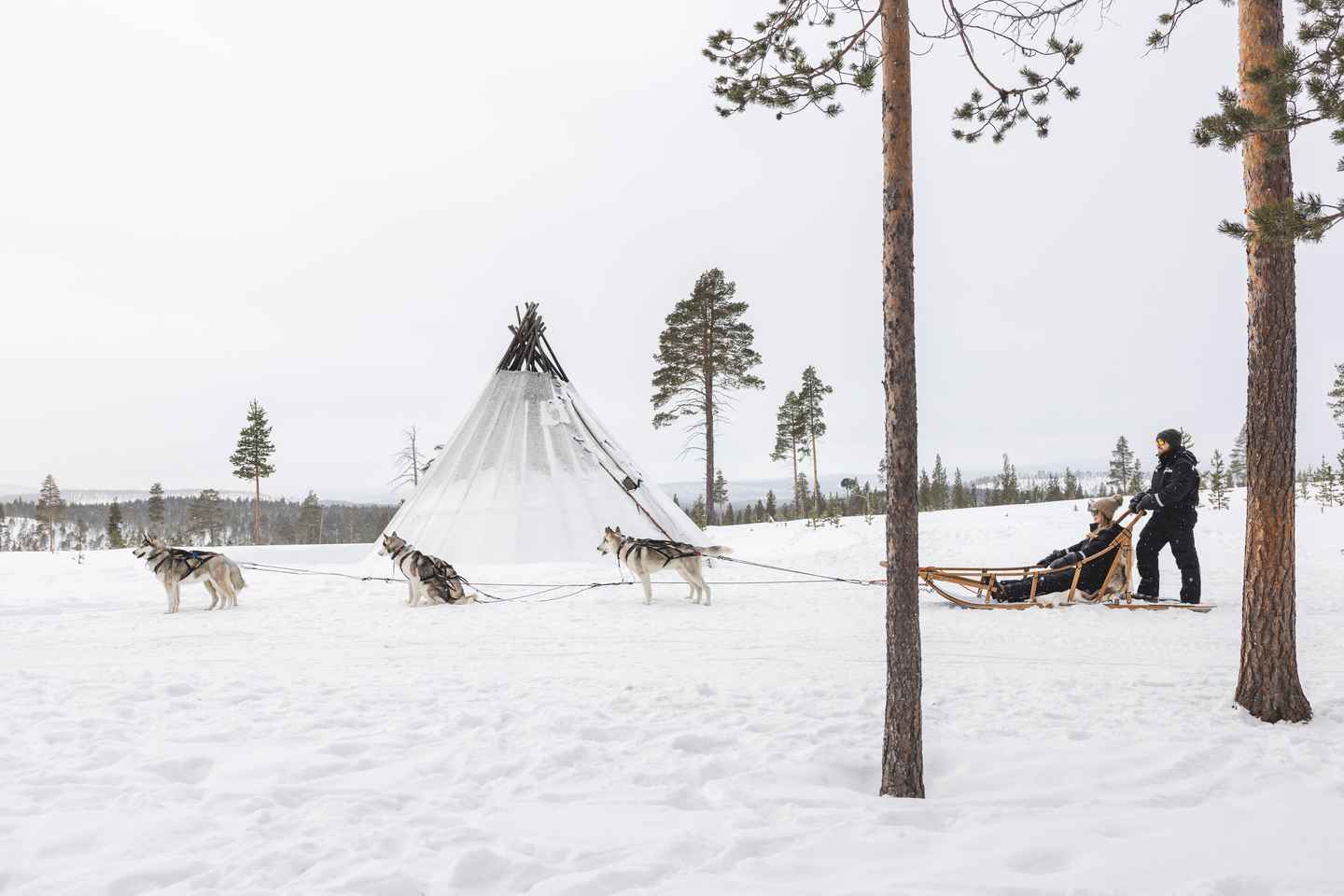 Saariselkä: Húskeyjasafarí með Norðurljósaleit