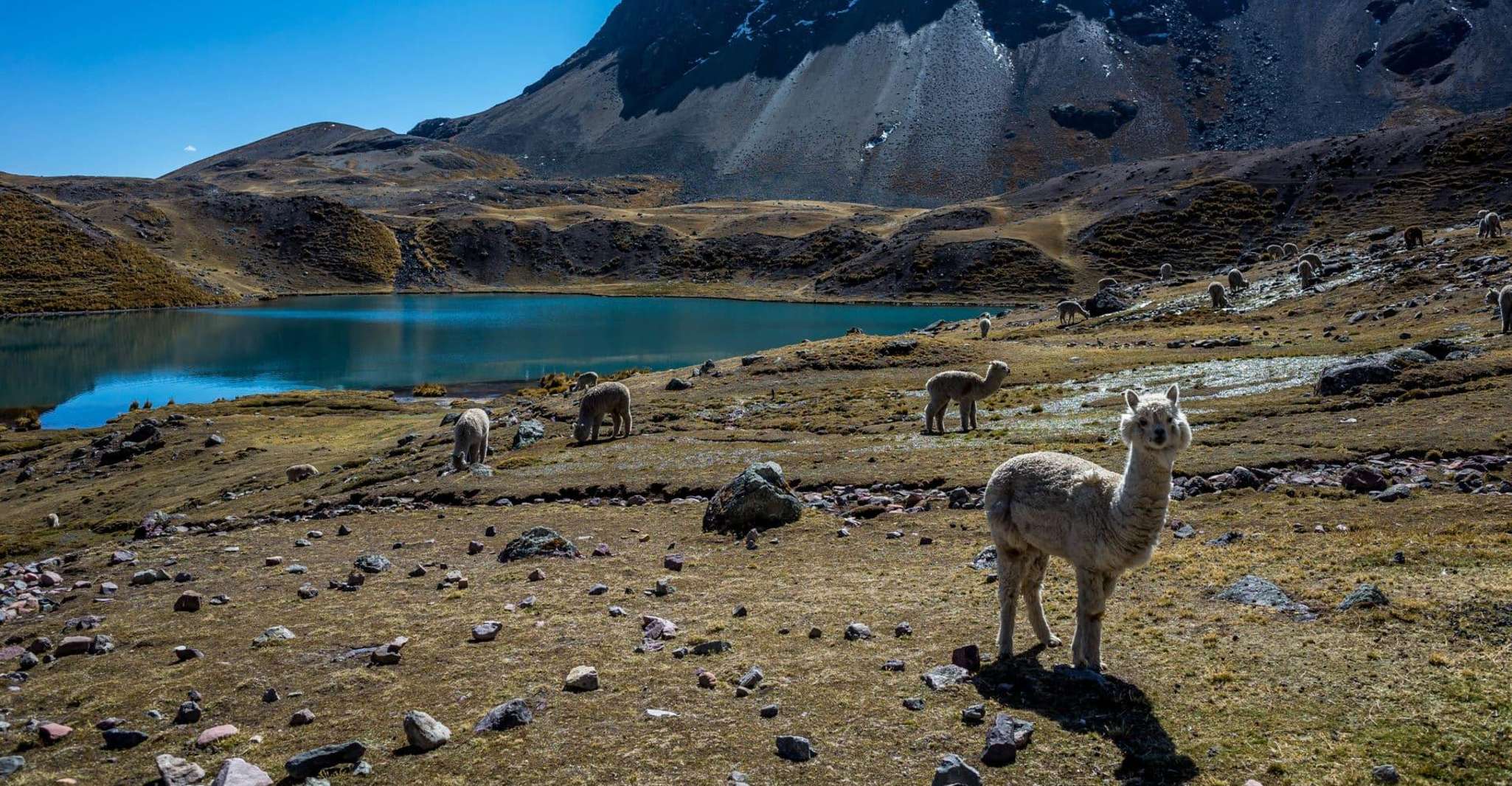 Cusco, Escursione ad Ausangate 7 Lagune + pranzo - Hizvo