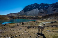 Cusco, Escursione ad Ausangate 7 Lagune + pranzo - Hizvo