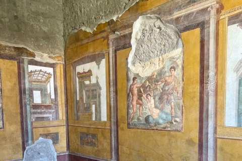 Visite guidée des fouilles de Pompéi depuis Positano