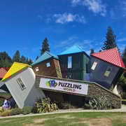 Queenstown: Private Arrowtown and Wanaka Return Day Trip