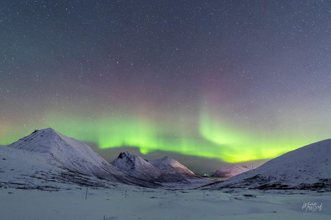 From Tromsø: Northern Lights Chase with Photos and Dinner