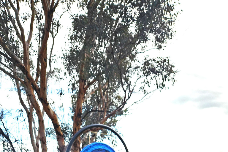 From Perth: Australian Animal Night Safari