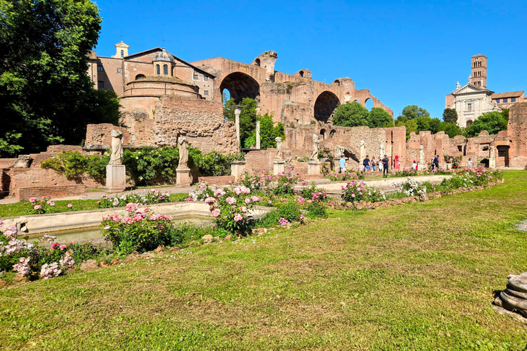 Rome: Colosseum, Roman Forum, and Palatine Hill Guided Tour Small Group