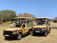 Da Hazyview, Safari di Kruger National Park Intell-Day - Housity