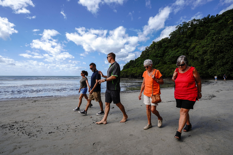 Depuis Port Douglas : Expérience totale de la Daintree en petit groupePort Douglas : Expérience totale de la Daintree en petit groupe