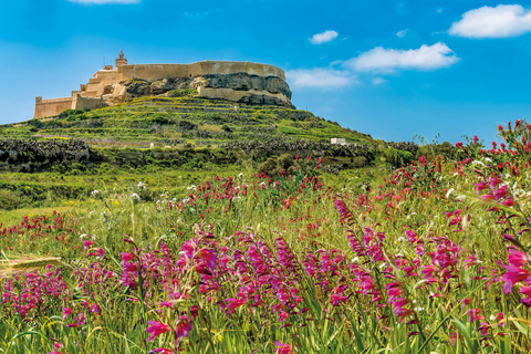 Malta: Gozo 4x4 UTV Tour and Optional Comino Mini Cruise With Arabic-Speaking Tour Leader