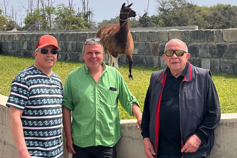 Lima: Private Tour of Barranco, La Herradura, and the Pachacámac Sanctuary